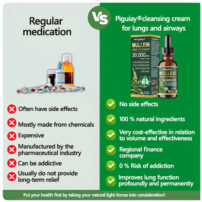 Official Store:Piguiay® Organic Lung Cleansing Mullein Leaf Extract Drops - American Thoracic Society Endorsed to Support Lung Health💌