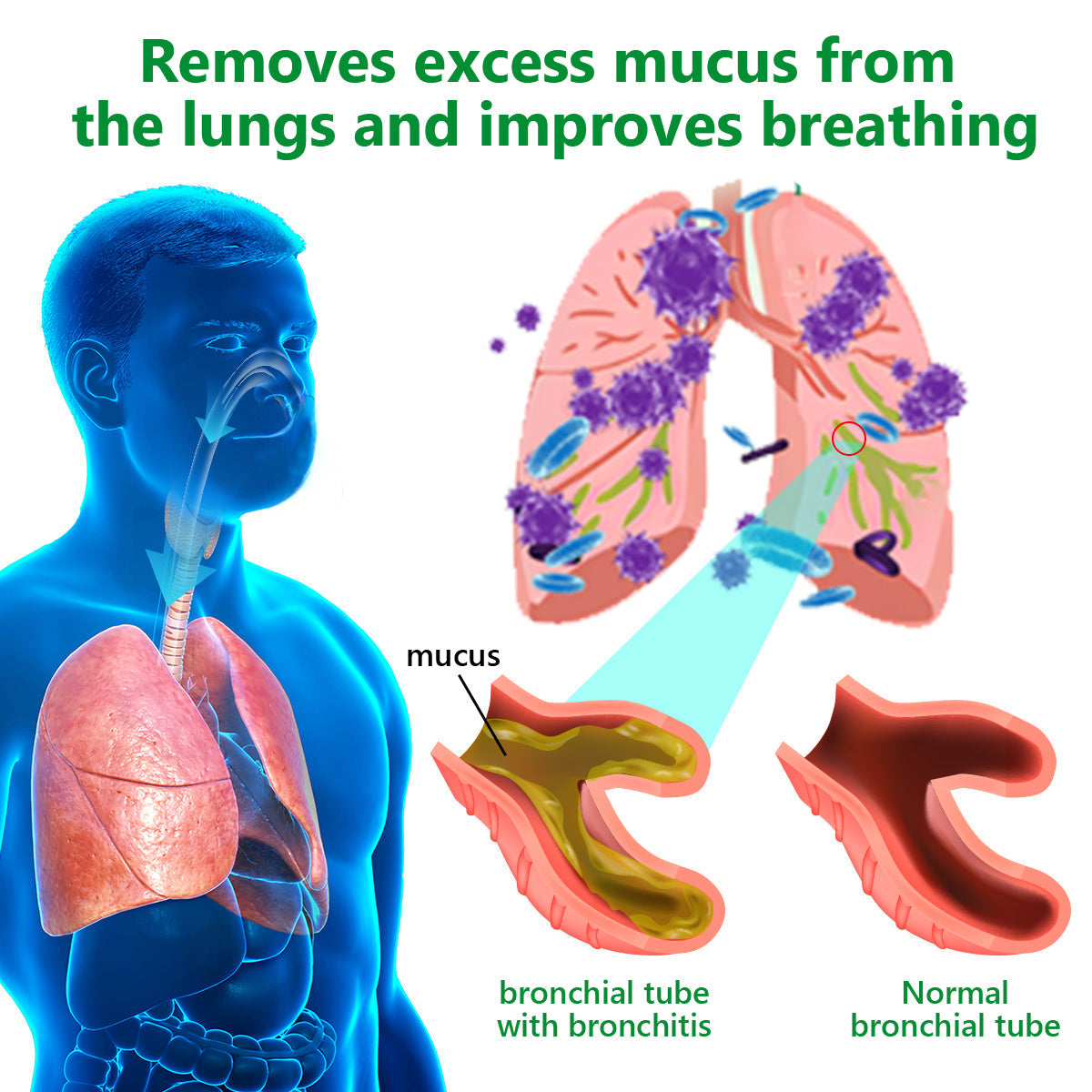 Official Store:Piguiay® Organic Lung Cleansing Mullein Leaf Extract Drops - American Thoracic Society Endorsed to Support Lung Health💌