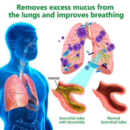 Official Store:Piguiay® Organic Lung Cleansing Mullein Leaf Extract Drops - American Thoracic Society Endorsed to Support Lung Health💌