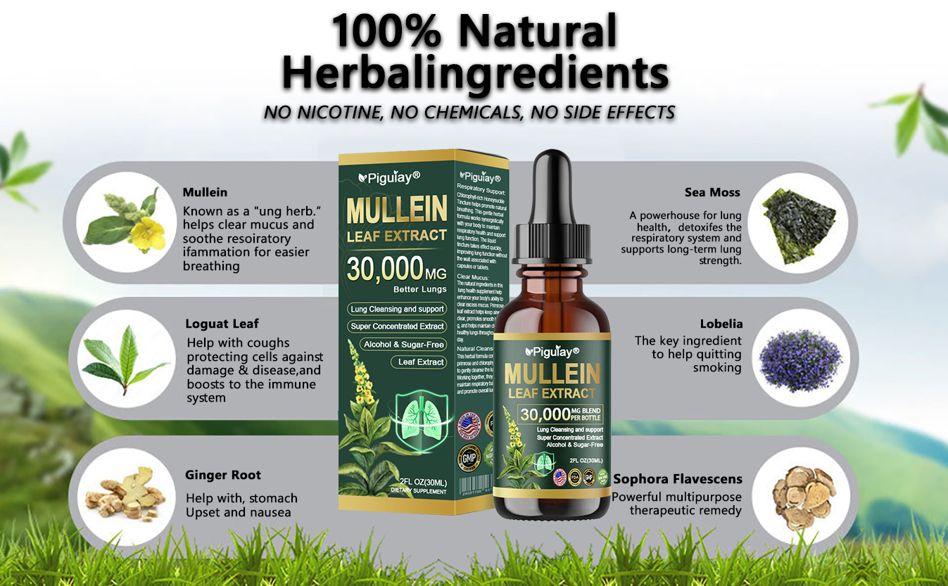 Official Store:Piguiay® Organic Lung Cleansing Mullein Leaf Extract Drops - American Thoracic Society Endorsed to Support Lung Health💌