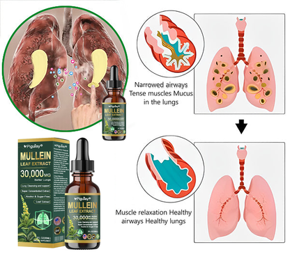 Official Store:Piguiay® Organic Lung Cleansing Mullein Leaf Extract Drops - American Thoracic Society Endorsed to Support Lung Health💌